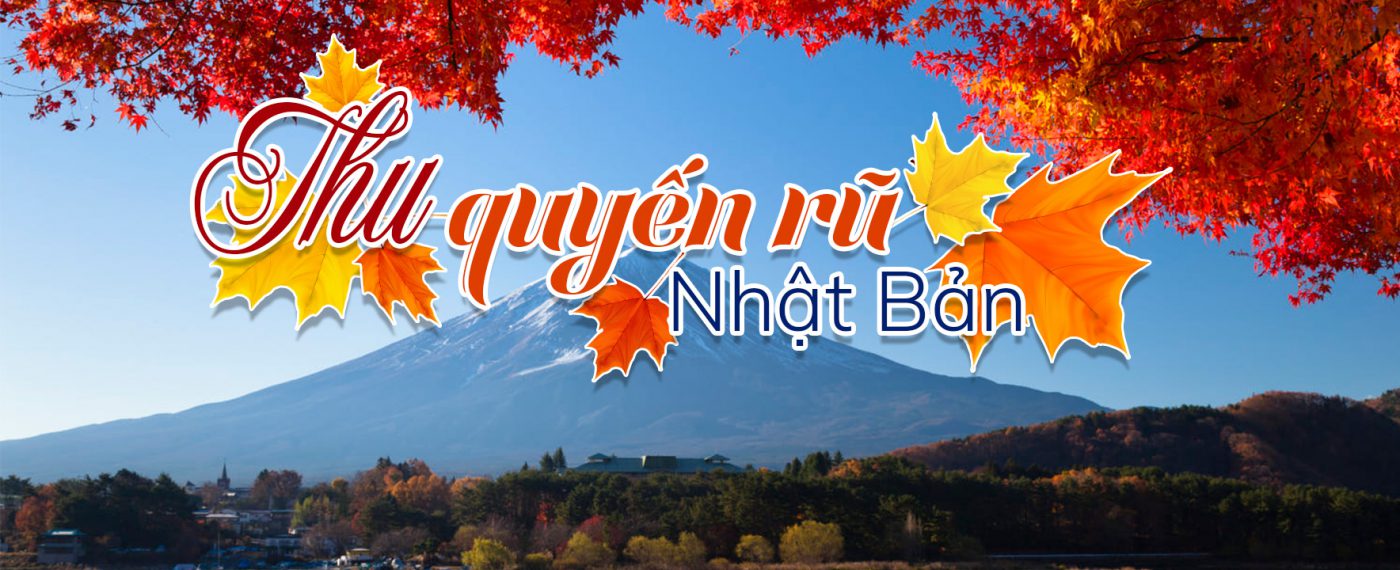 RCF Việt Nam | ProAVL – Nhà Phân Phối Chính Thức Thiết Bị Âm Thanh